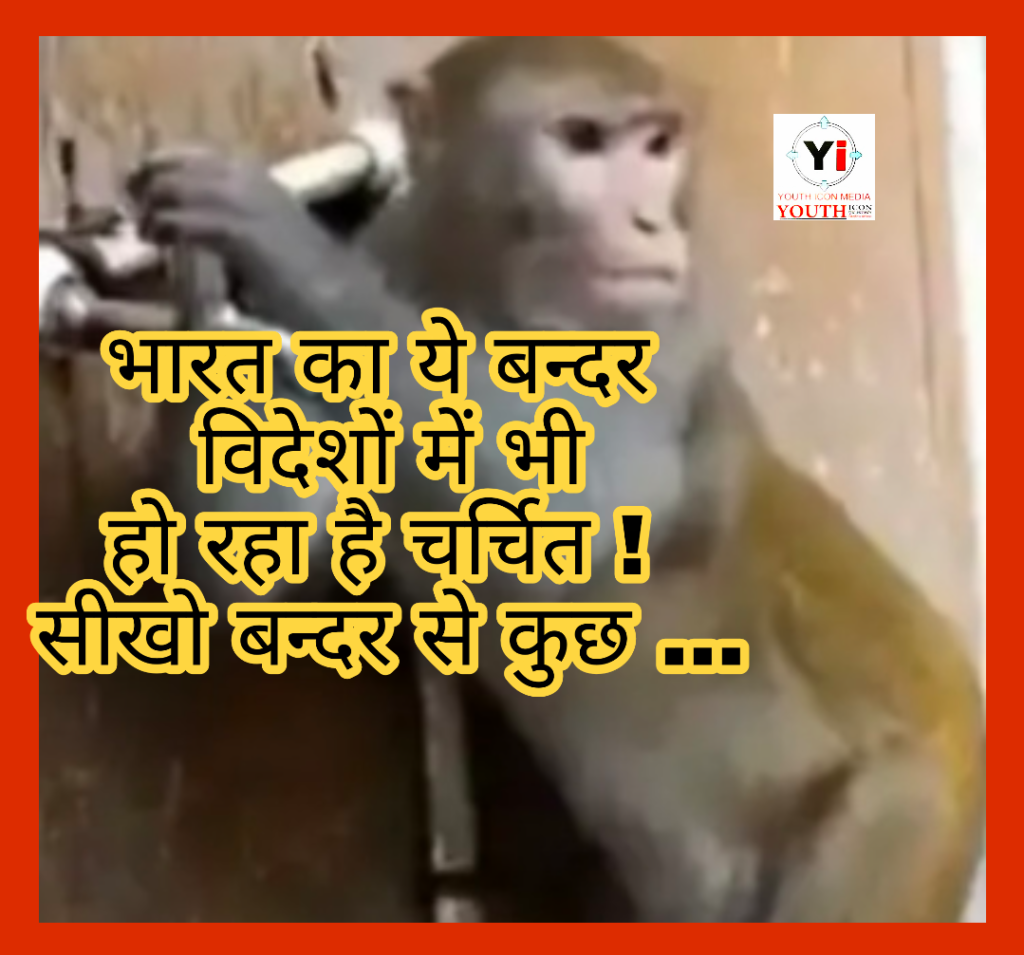 Save the water : massage Monkey closes tap after drinking water TikTok video viral Former Chief Election Commissioner SY Quraishi shares it . भारत का बंदर दुनियांभर में चर्चित । पानी पीने के बाद बंदर ने किया नल की टोंटी (टैब) बंद । 