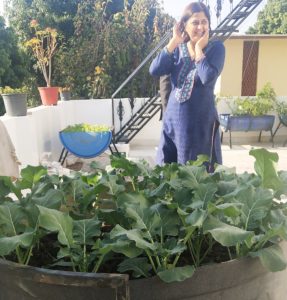 Kitchen_gardening Shalini Kuriyal  शालिनी कुड़ियाल ने कबाड़ के जुगाड़ से तैयार कर डाली घर के छत पर सुंदर बगिया । जाने माने न्यूरोसर्जन Neurosurgeon महेश कुड़ियाल mahesh kuriyal की पत्नी हैं शालिनी । youth icon . Shashi bhushan maithani paras