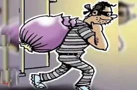 भाजपा पार्षद के परिवार के सदस्यों को नशीला पदार्थ पिलाकर नौकर घर लूटकर फरार, कुछ दिन पहले ही ऑनलाइन किया था हायर